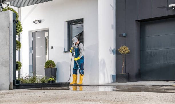 Best Roof Washing  in Valley Park, MO